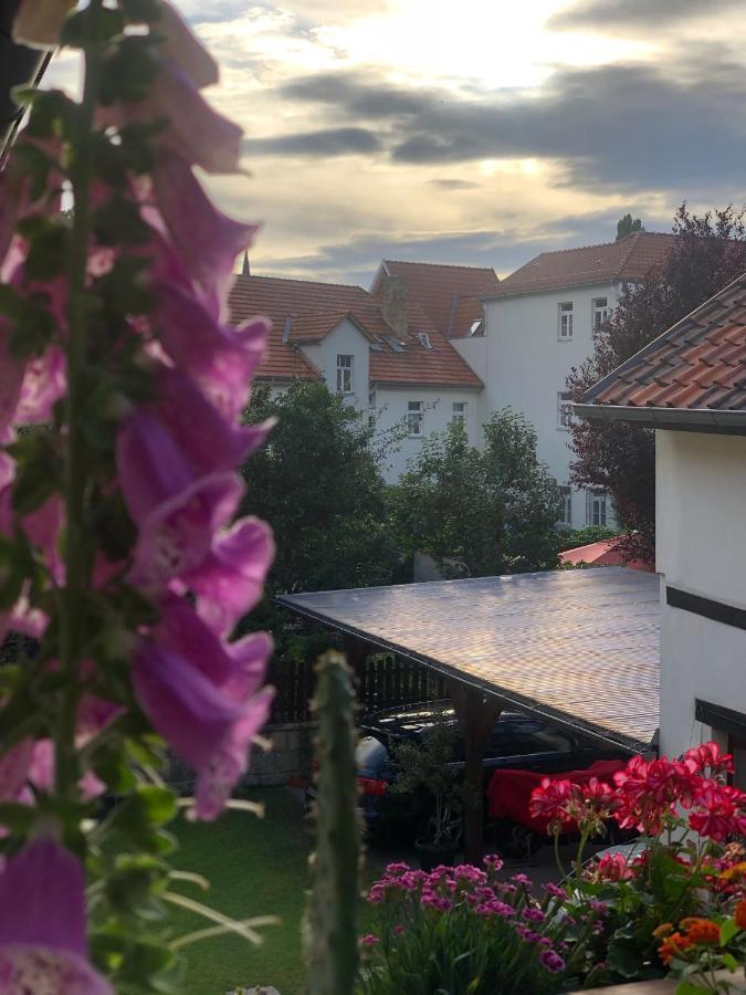Apartamento Am Mathildenbrunnen Gross Quedlinburg Exterior foto
