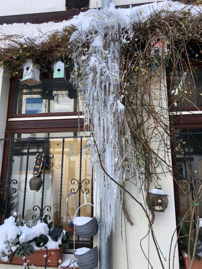 Apartamento Am Mathildenbrunnen Gross Quedlinburg Exterior foto